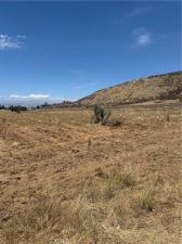 MLS #SW26156846 image #0