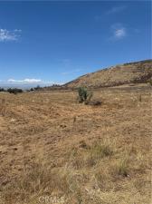 MLS #SW26156846 image #0
