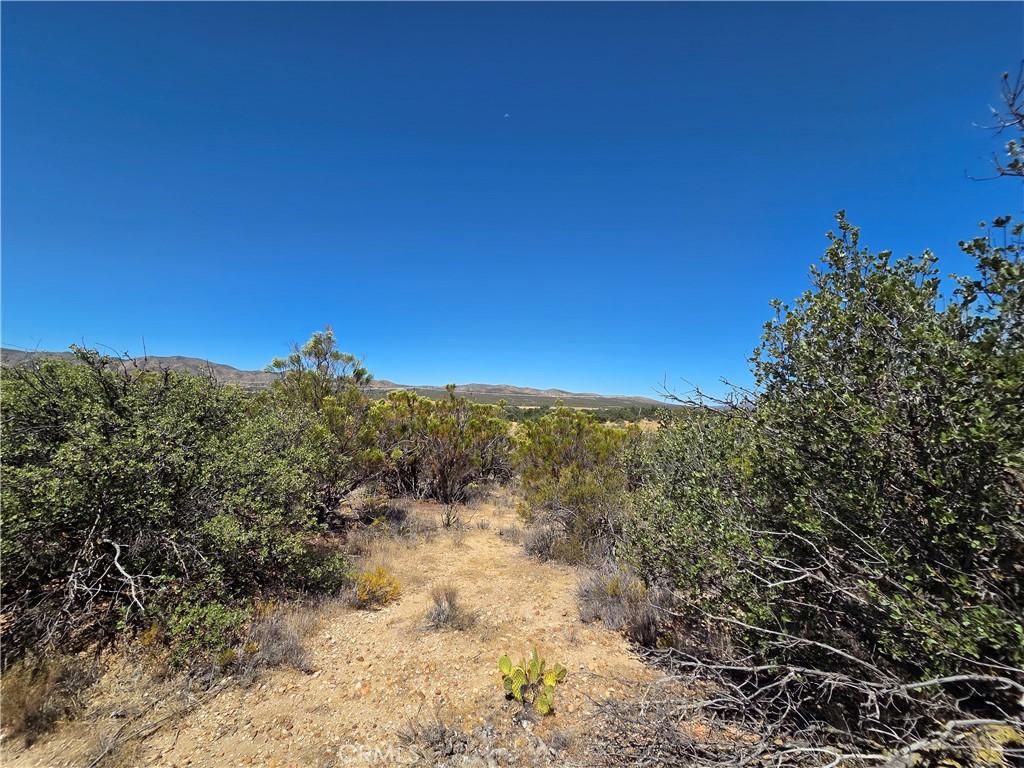 MLS #SW26157883 image #0