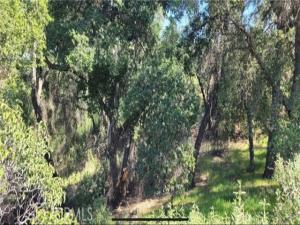 MLS #SW26162681 image #0