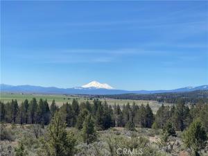 MLS #SW26165512 image #0