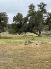 MLS #SW26168358 image #0