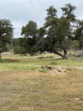 MLS #SW26168358 image #0