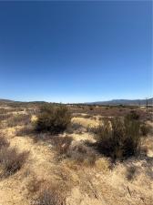 MLS #SW26169434 image #0
