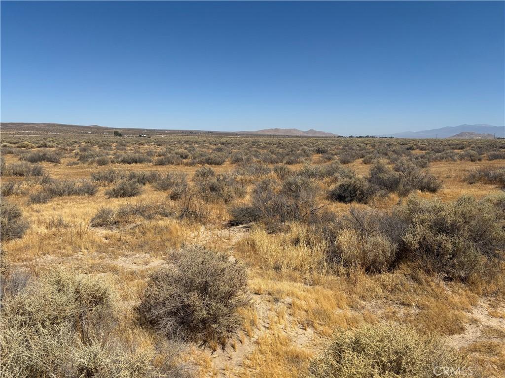 MLS #SW26170214 image #0