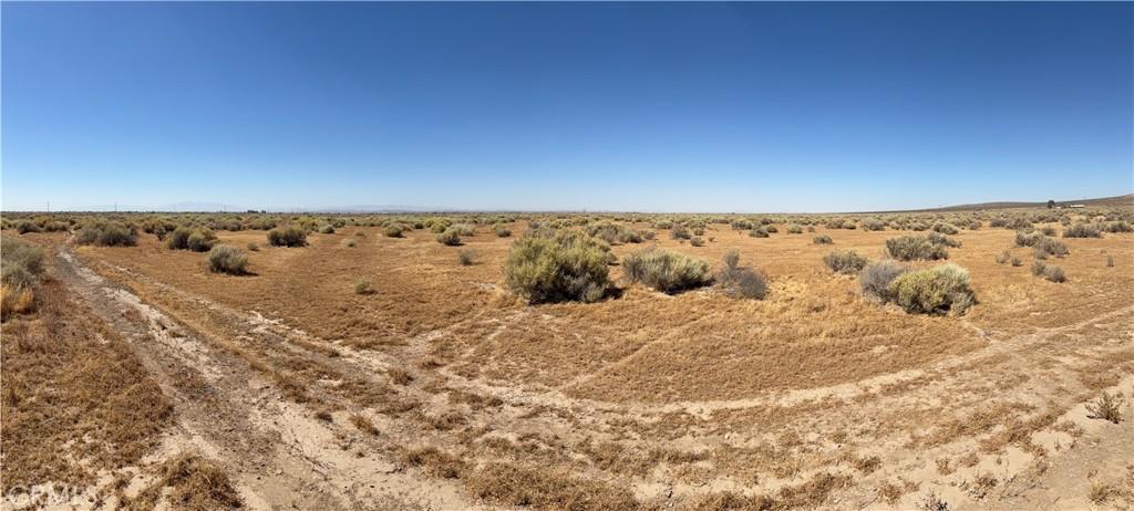 MLS #SW26170256 image #0
