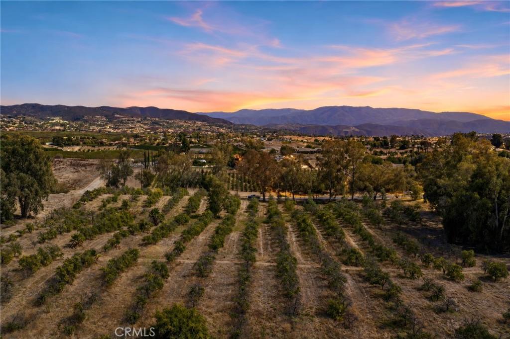 MLS #SW26175596 image #0