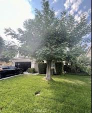 MLS #SW26179069 image #0