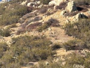 MLS #SW26184638 image #0