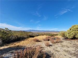 MLS #SW26193688 image #0