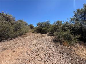 MLS #SW26201288 image #0