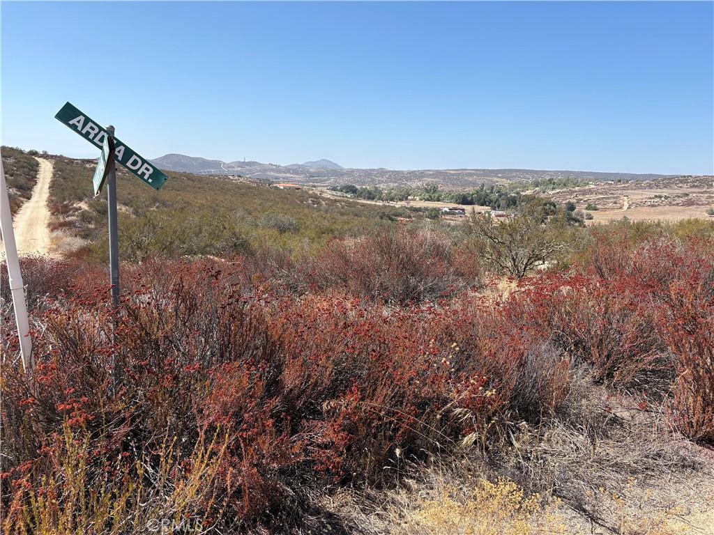 MLS #SW26202774 image #0