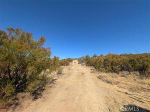 MLS #SW26206608 image #0