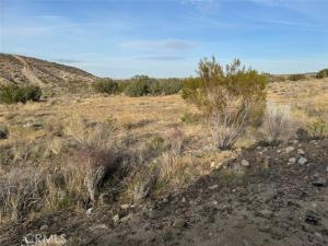 MLS #SW26215758 image #0