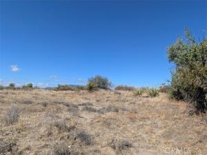 Old Forest Road Lot 4 Anza CA 92539 | MLS #SW26224735 41 MLS #SW26224735 image #0