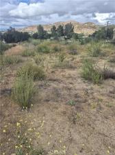 MLS #SW26228755 image #0