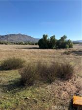 MLS #SW26232085 image #0