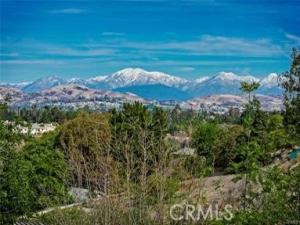 MLS #TR24142428 image #0