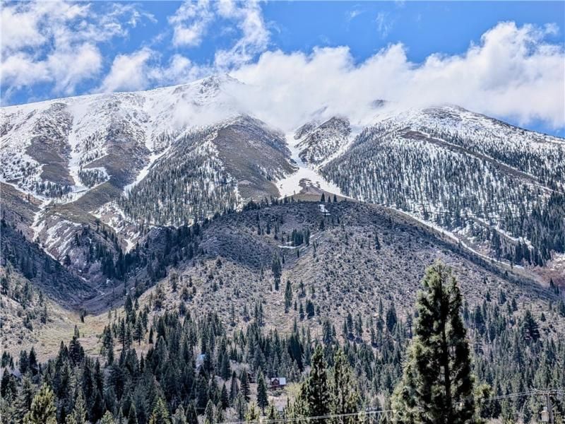 MLS #TR25114305 image #0