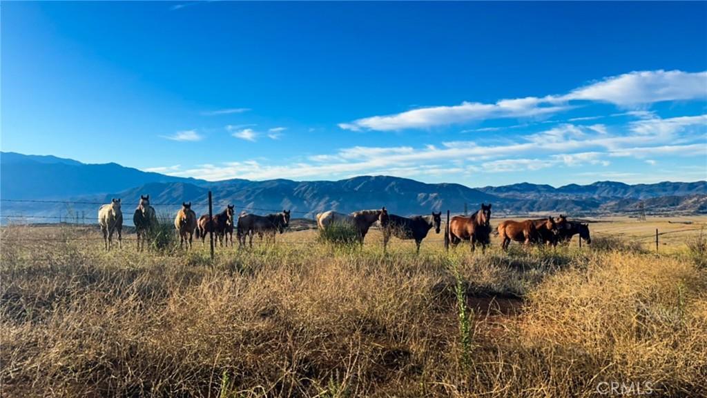 MLS #TR25220275 image #0