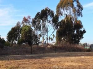 MLS #TR25242564 image #0