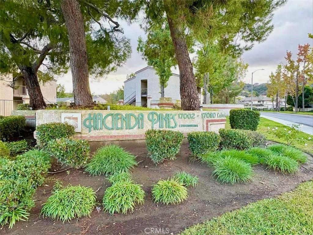 MLS #TR25272311 image #0