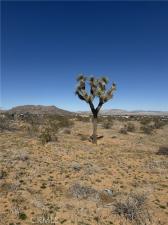 575 N Covelo Avenue Landers CA 92285 | MLS #TR26080912 45 MLS #TR26080912 image #0