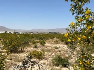 MLS #TR26149648 image #0