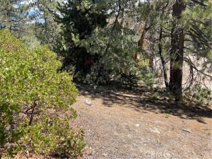 MLS #TR26185432 image #0