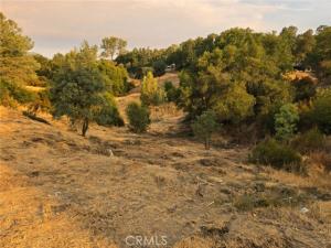 MLS #TR26219430 image #0