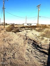 MLS #V1-27890 image #0