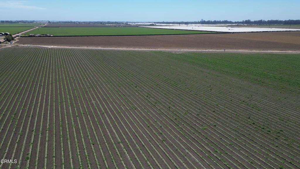 MLS #V1-31082 image #0