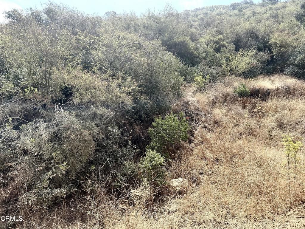 MLS #V1-31799 image #0