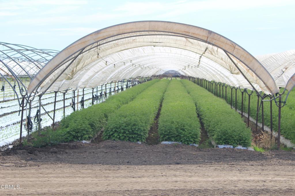 MLS #V1-32620 image #0