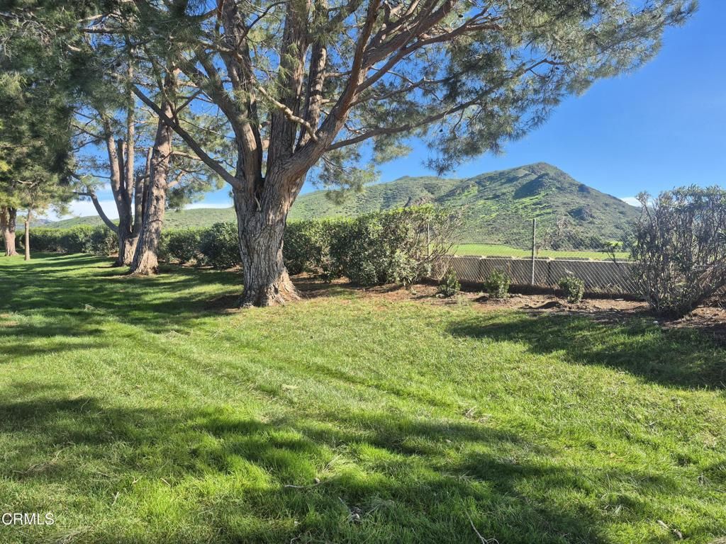 MLS #V1-33966 image #0