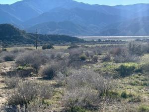 MLS #V1-34141 image #0