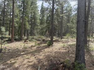 MLS #V1-35497 image #0