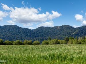 MLS #V1-38310 image #0