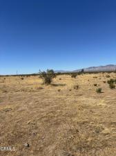 MLS #V1-39185 image #0