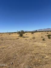 MLS #V1-39185 image #0