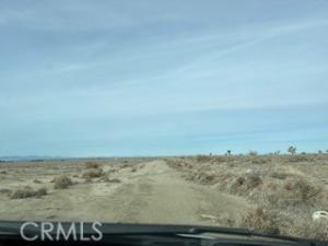 MLS #WS24184588 image #0