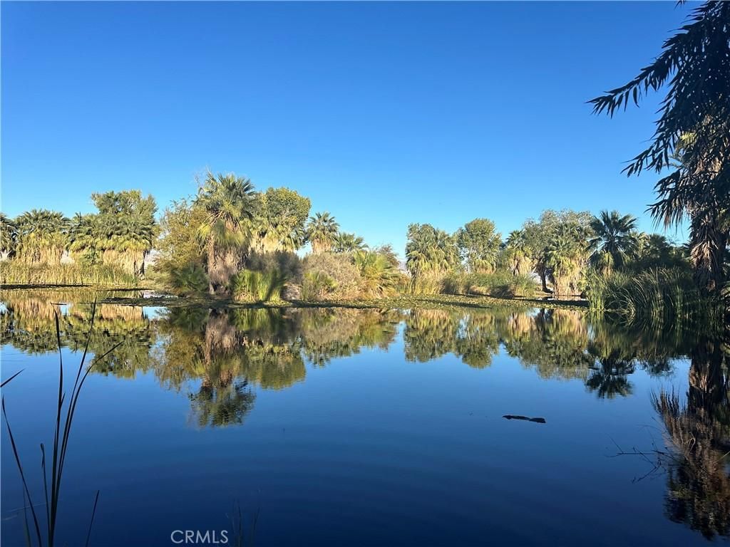 MLS #WS25008261 image #0