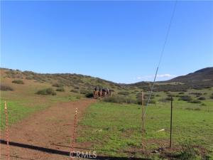 MLS #WS25098768 image #0