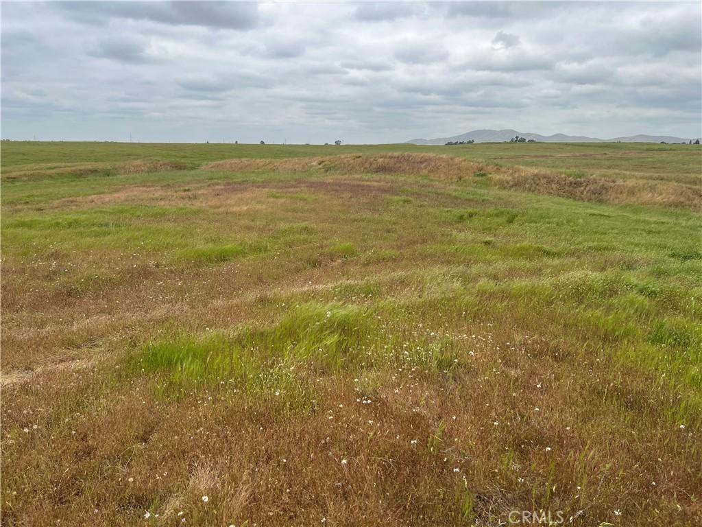 MLS #WS25111634 image #0