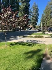 MLS #WS25173790 image #0