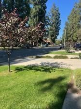 MLS #WS25173790 image #0