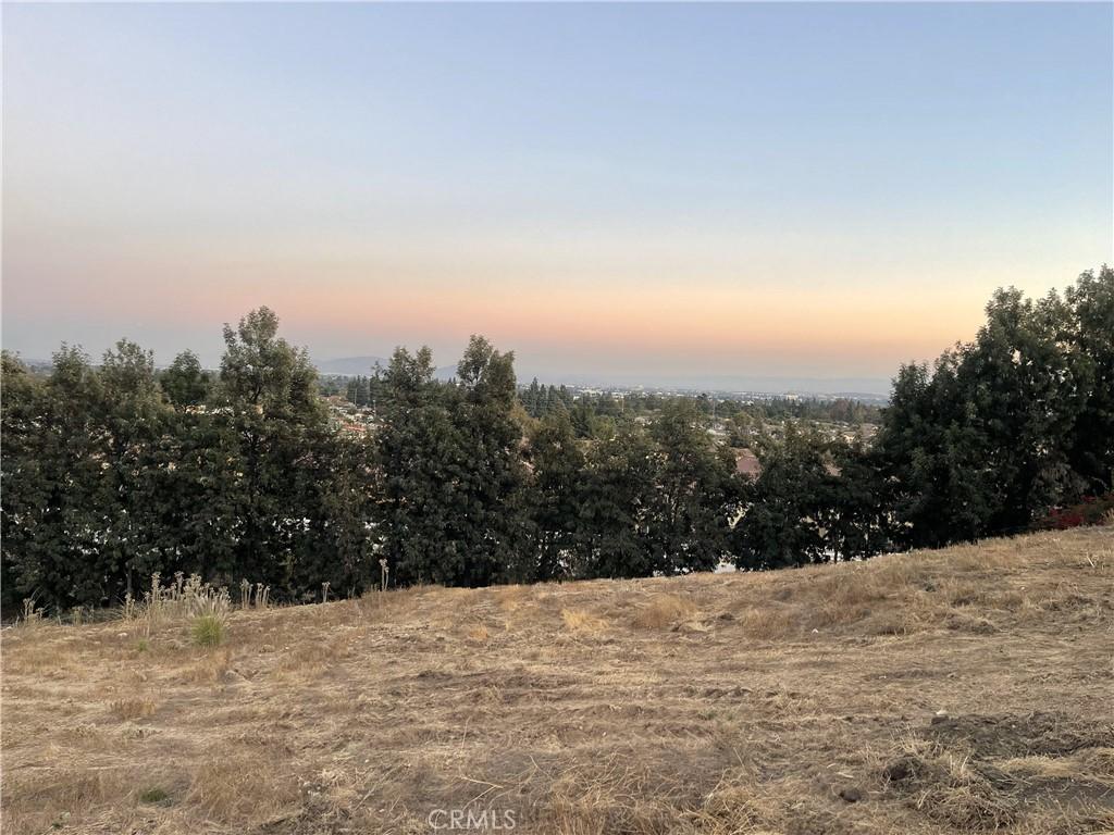 MLS #WS25184133 image #0