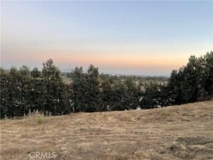 MLS #WS25184133 image #0