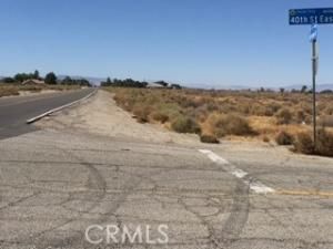 MLS #WS25187569 image #0