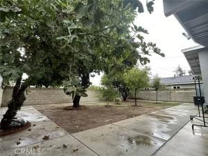 MLS #WS25265862 image #0